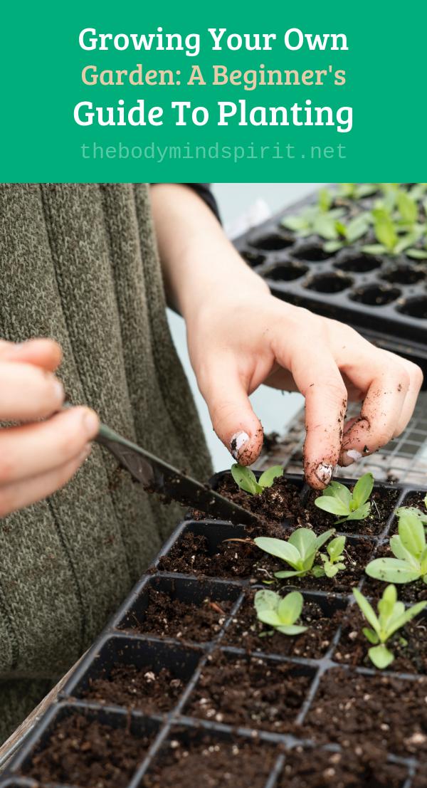 Growing Your Own Garden A Beginner's Guide To Planting Body Mind and